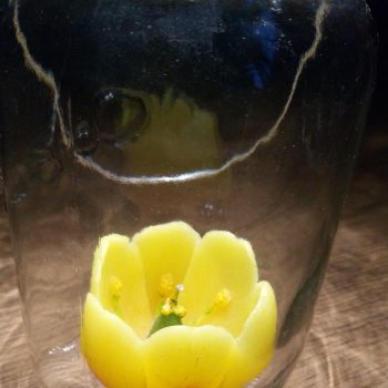 Consol Solar Jar, la magia della luce racchiusa in un barattolo di vetro.