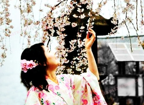 Tradizione e modernità: la bellezza di un viaggio unico in Giappone