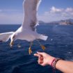 “Mare eccellente” ad Ischia: buone notizie per la nuova stagione estiva