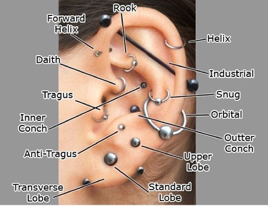 tutti i nomi dei piercing alle orecchie