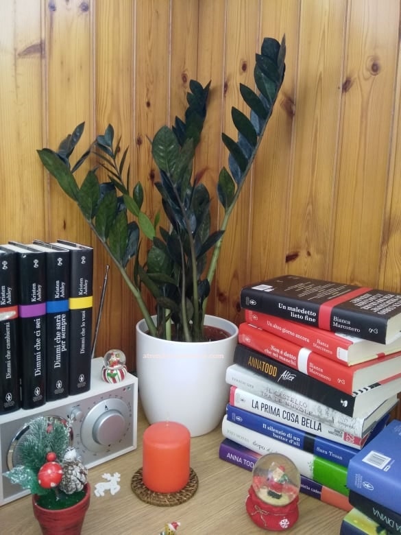 Fiori e piante a domicilio con Colvin la mia esperienza