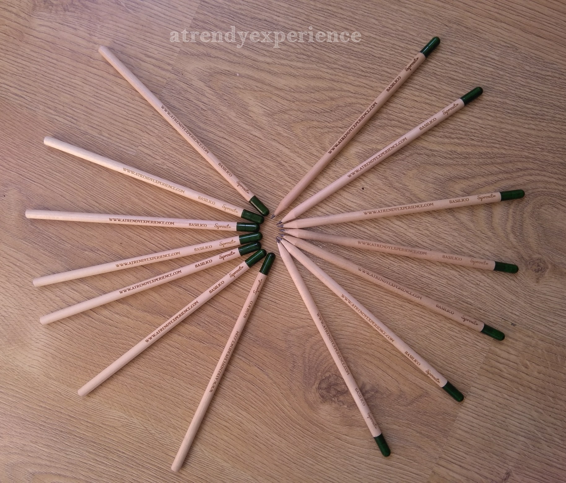 sprout pencil matite da piantare