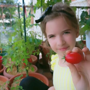 come coltivare i pomodori in vaso orto verticale