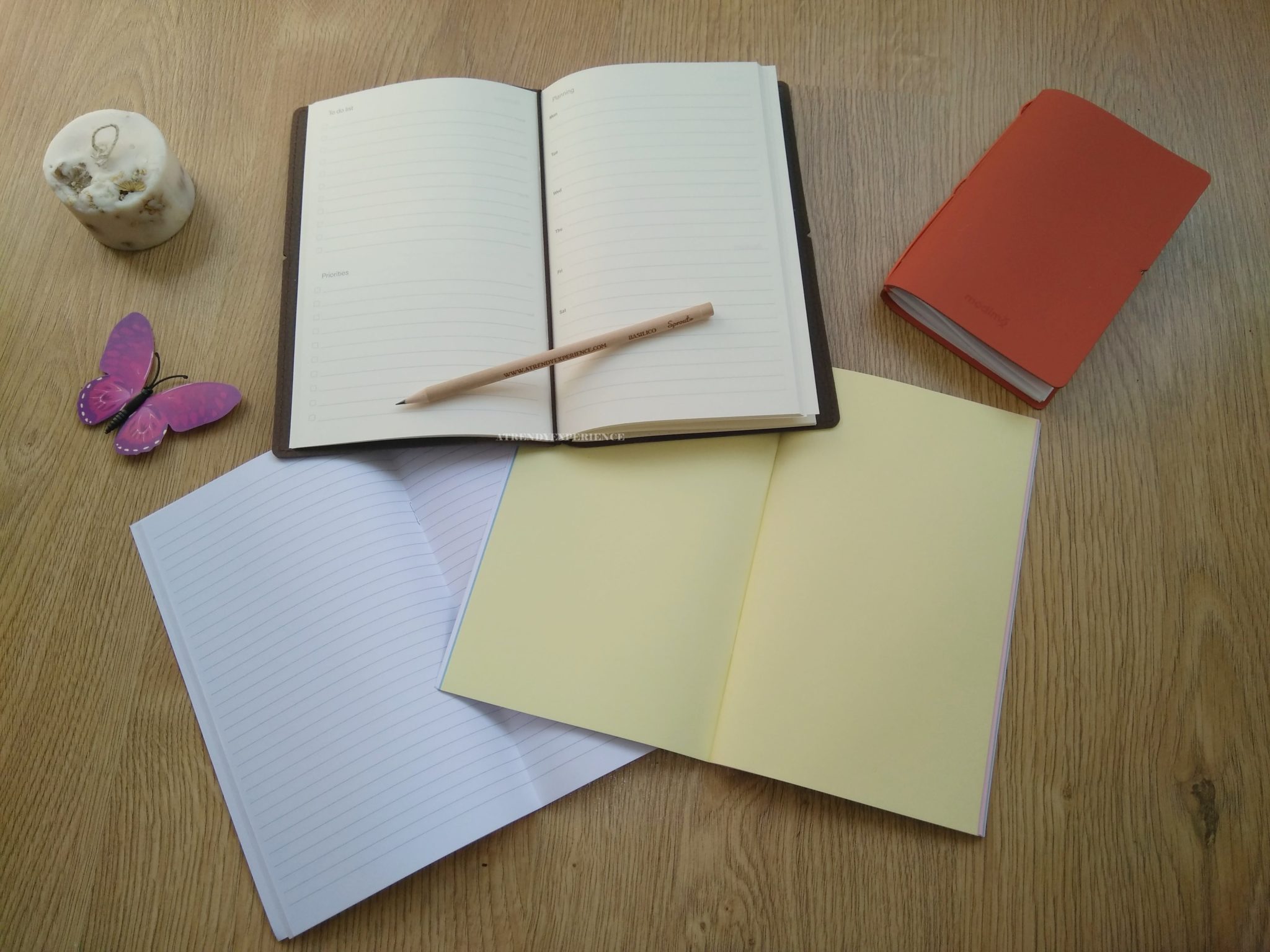 modimò composizione journal