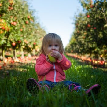 alimentazione corretta bambino dieta e consigli utili