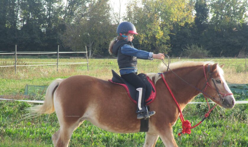 sport età scolare equitazione per bambini