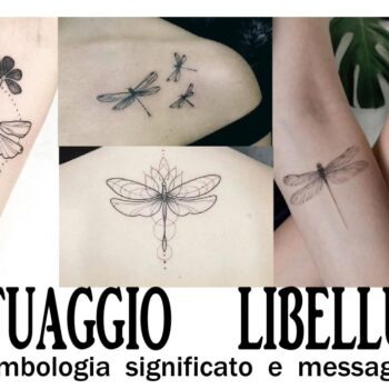 tatuaggio libellula simbologia significato e messaggi