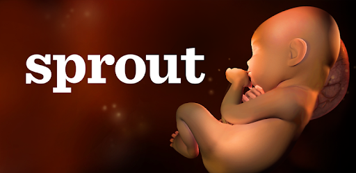 gravidanza sprout