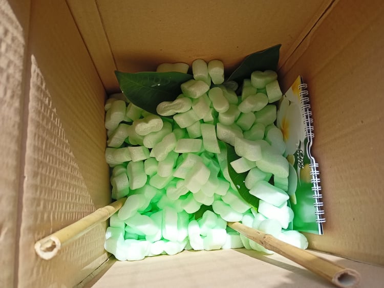 frangipani imballato con materiale biodegradabile