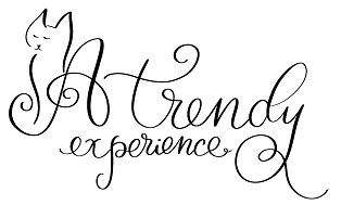 logo atrendyexperience