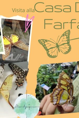 Viaggio nella Casa delle farfalle di Bordano la più grande d'Europa