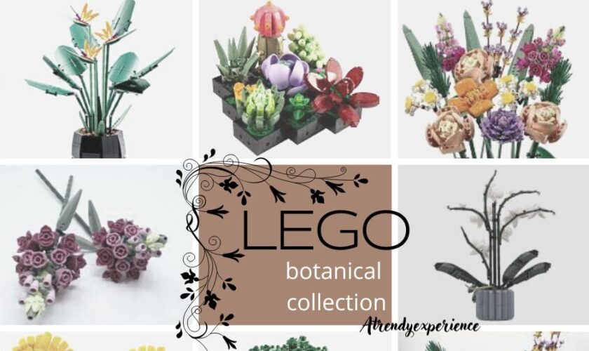 Lego Collezione Botanica Dai Bonsai Ai Bouquet Per Tutti Gli Appassionati Di Fiori E Green
