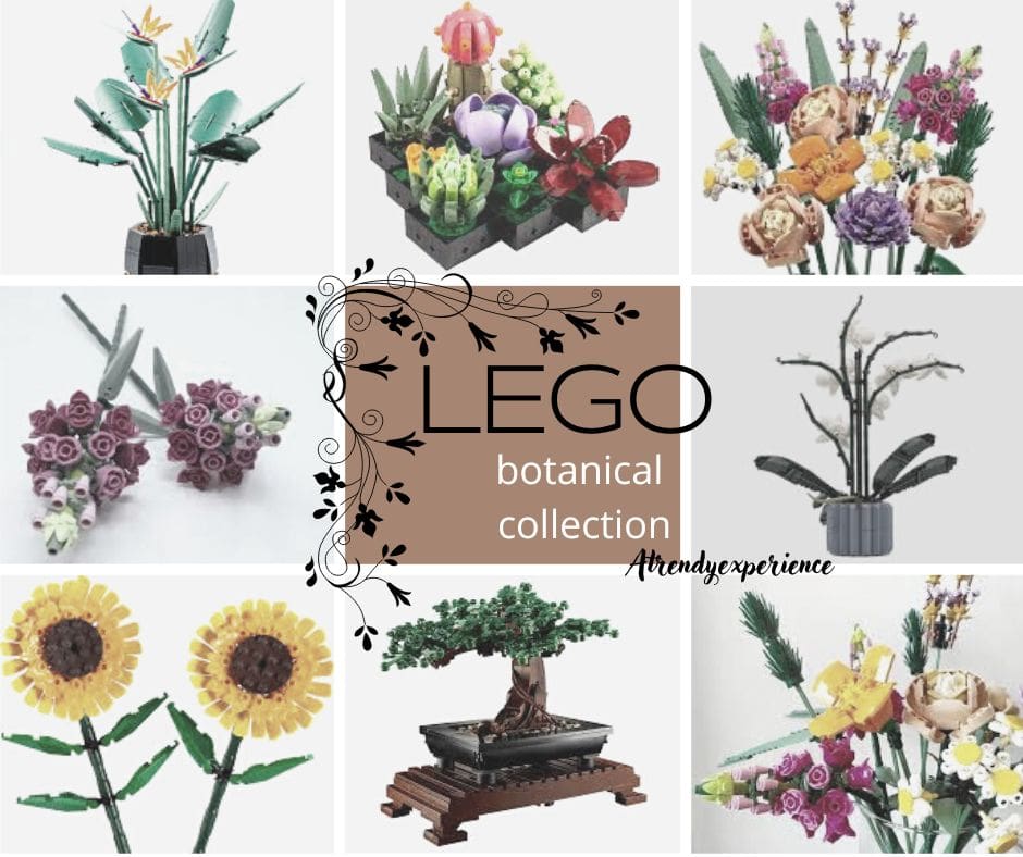 Lego Collezione Botanica Dai Bonsai Ai Bouquet Per Tutti Gli Appassionati Di Fiori E Green
