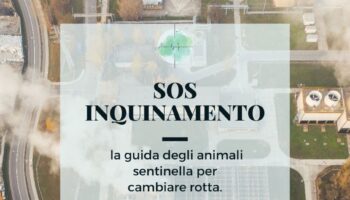SOS inquinamento, la guida degli animali-sentinella per cambiare rotta