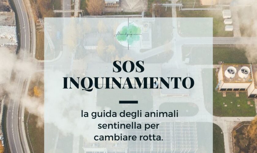 SOS inquinamento, la guida degli animali-sentinella per cambiare rotta