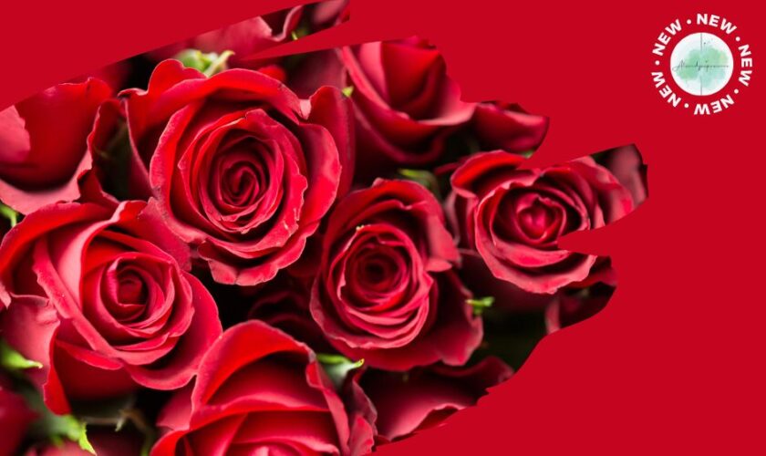 Perché le rose sono il simbolo di San Valentino?