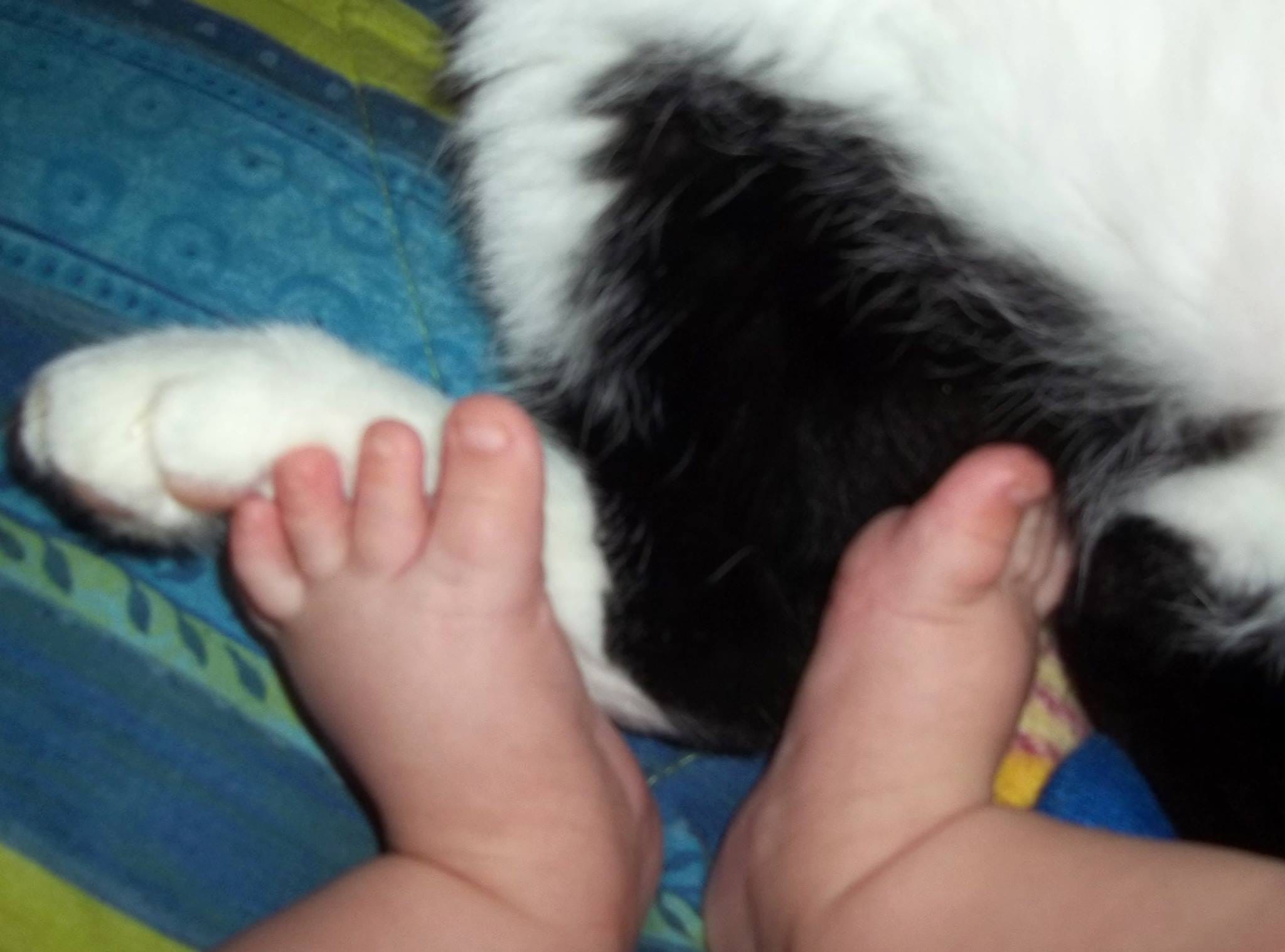 mago merlino e tess neonata