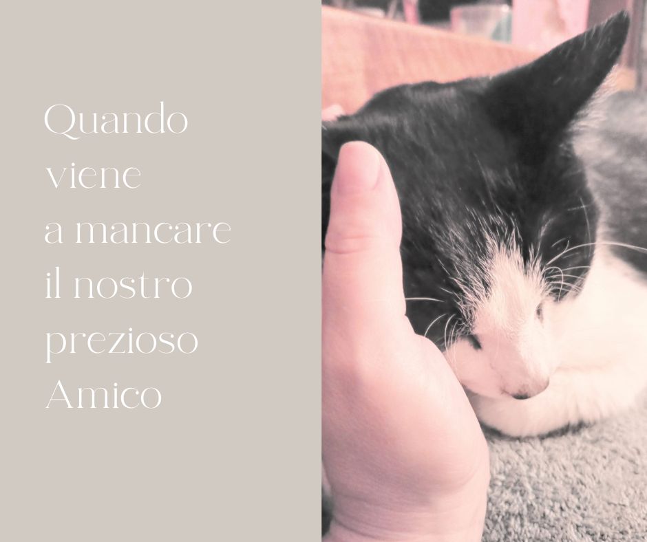 Quando muore il nostro amato Pet tutto cambia