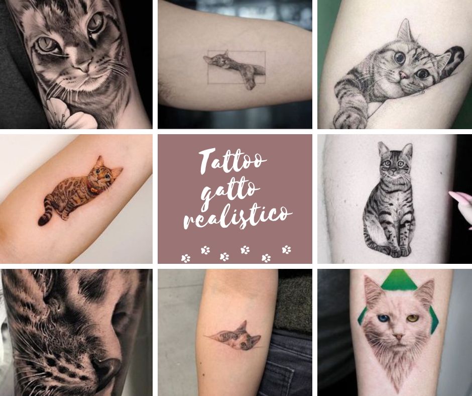 tatuaggio gatto realistico
