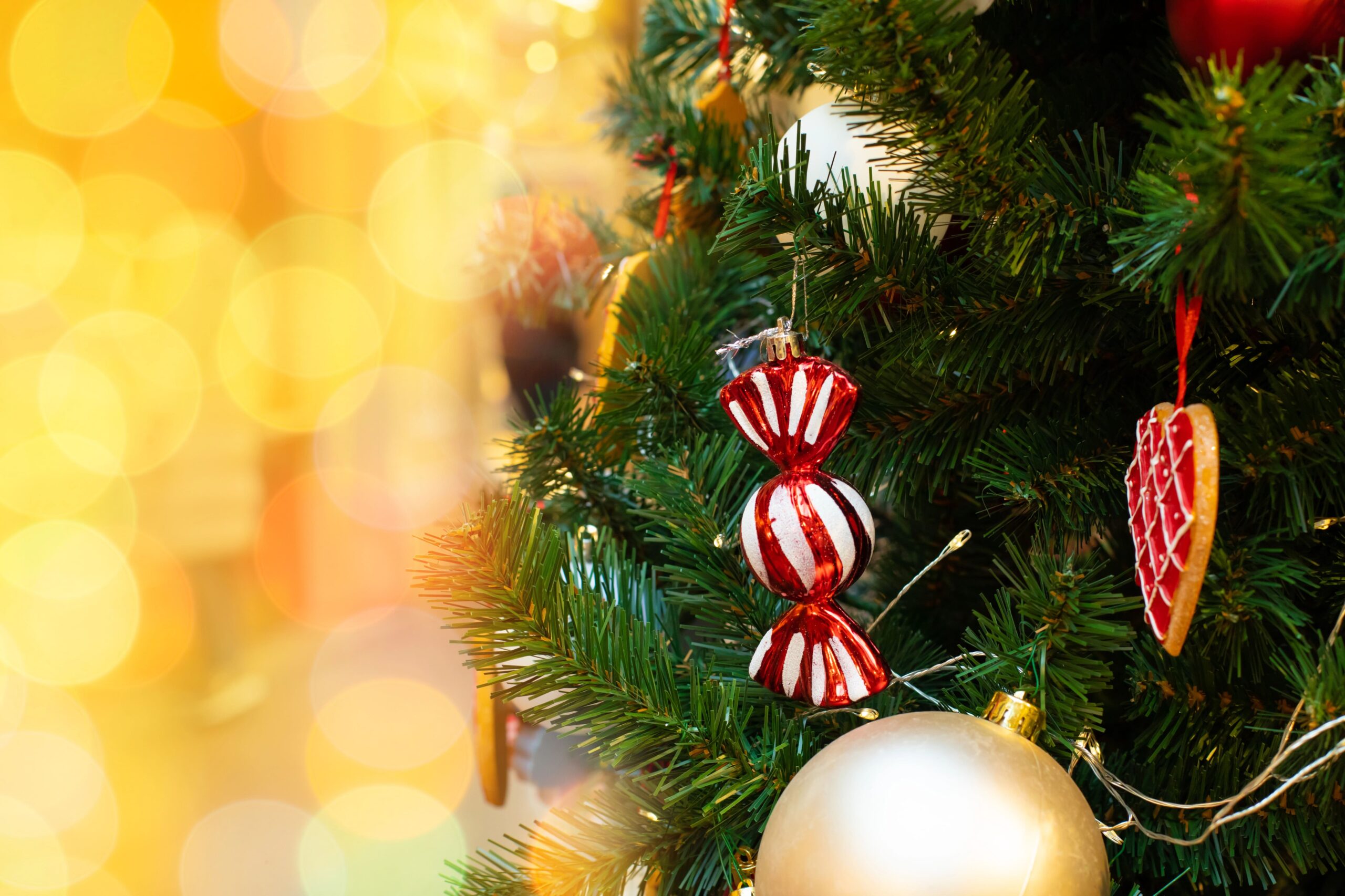 Decorare l'albero di Natale: ornamento a tema