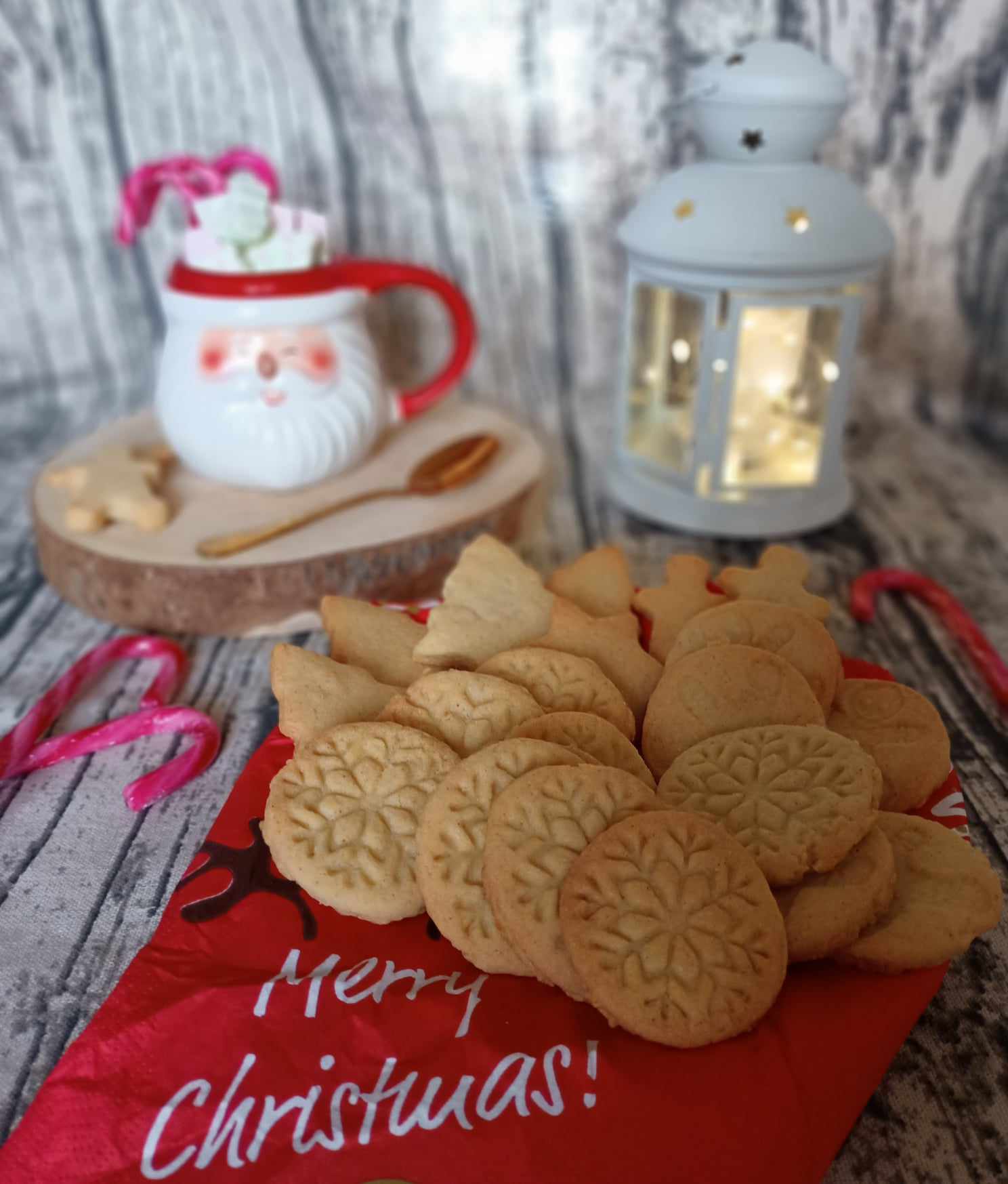 Ricetta Biscotti Natalizi facili e buonissimi