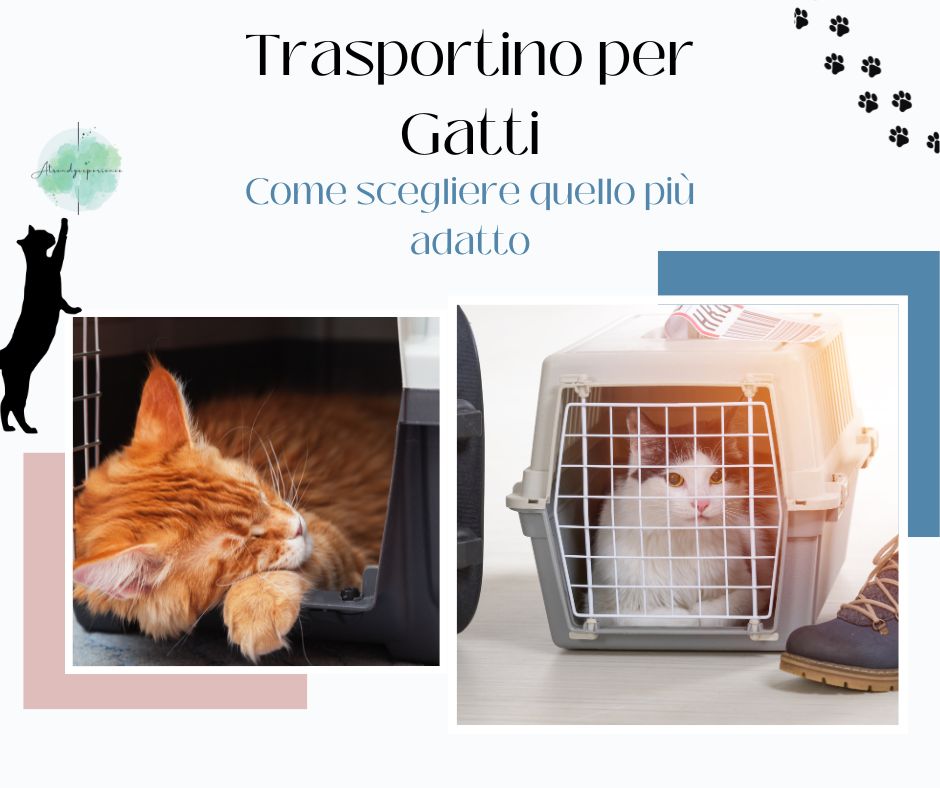 come scegliere il trasportino per gatti giusto