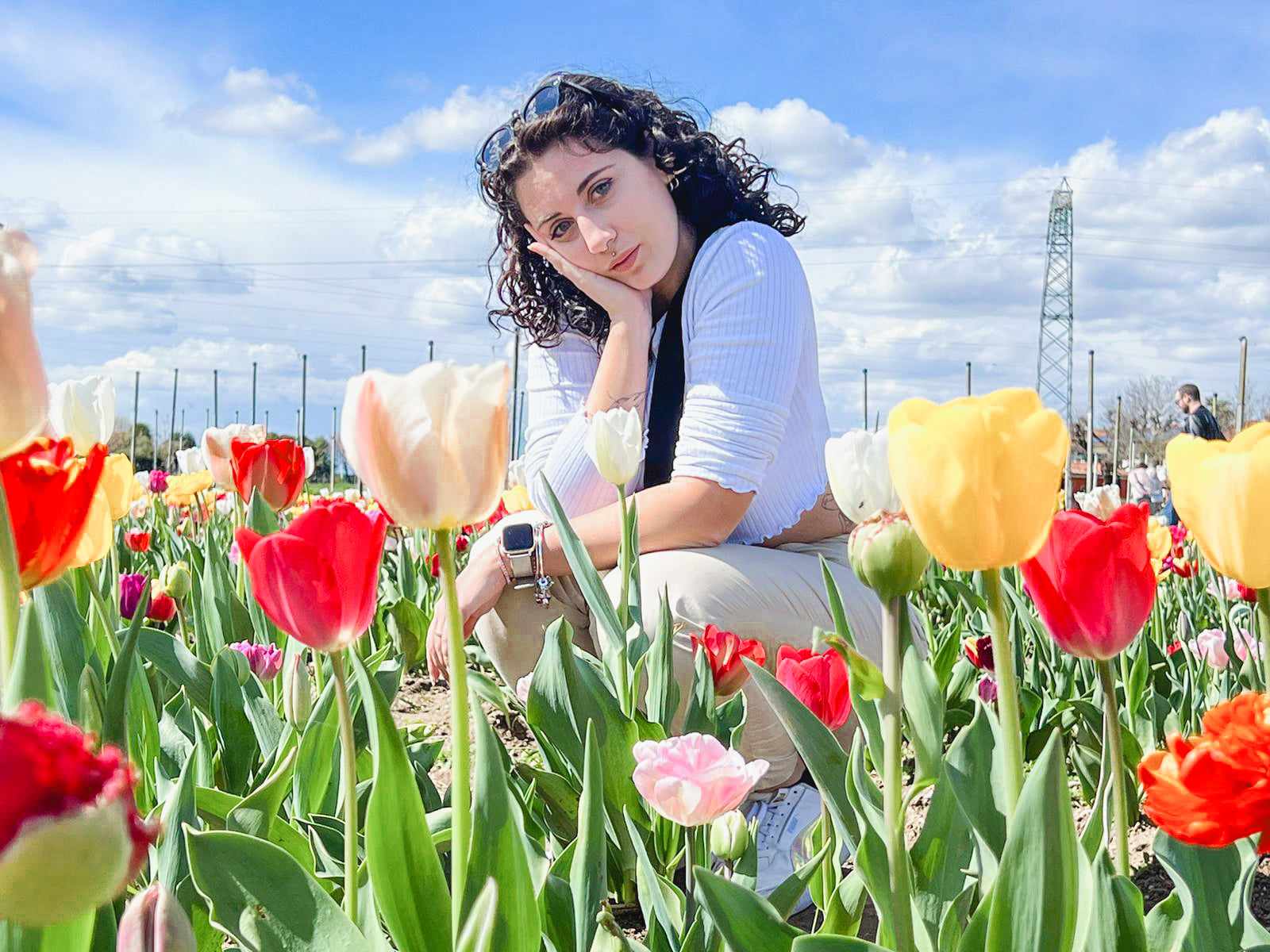 Dove trovare i campi di tulipani nel nord Italia