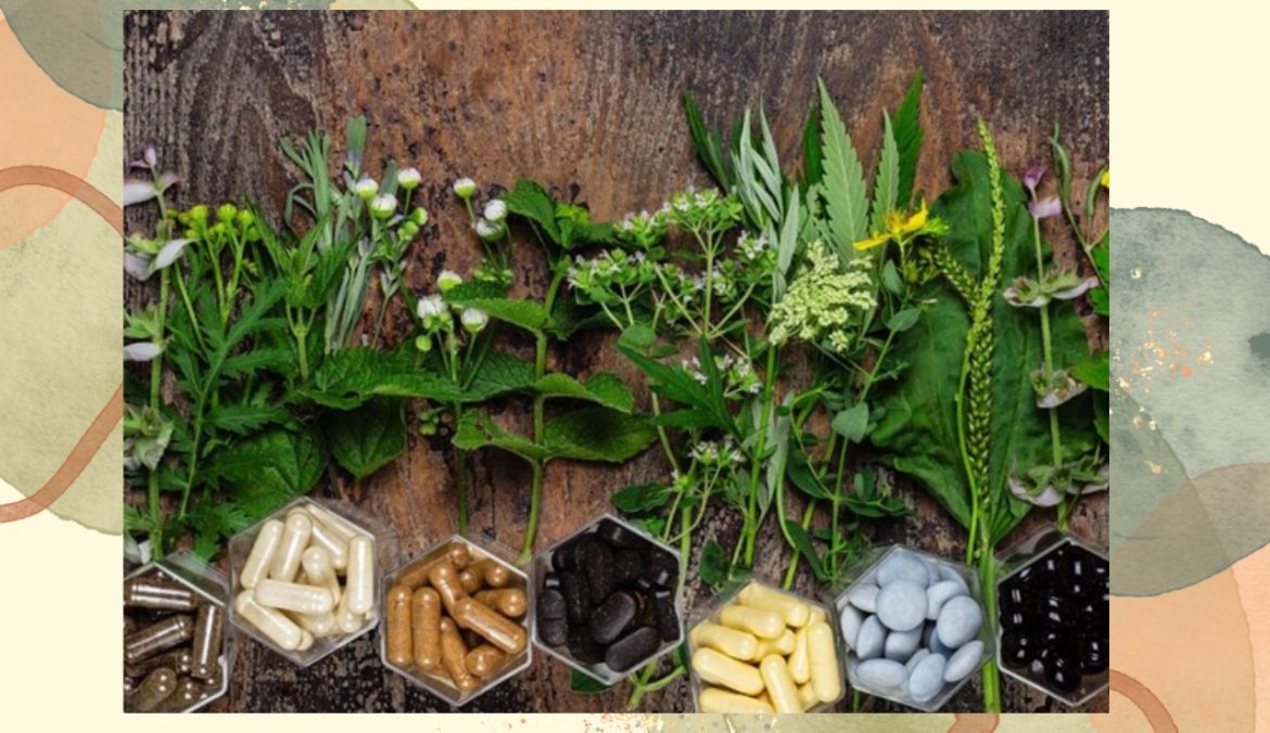 Il ruolo dei nutraceutici nella salute e nel benessere guida completa (1)