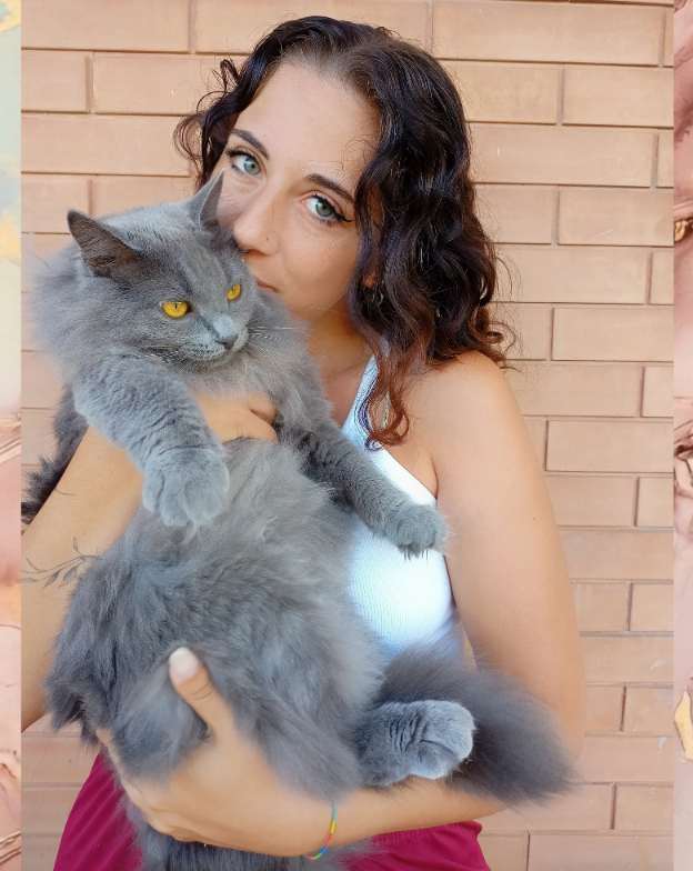Cosa succede quando accarezzi un gatto