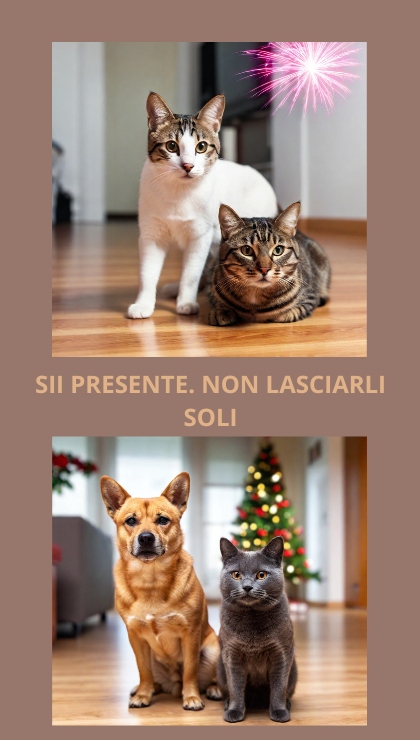 Come proteggere i tuoi animali dal rumore dei botti mantieni calma e routine stabili