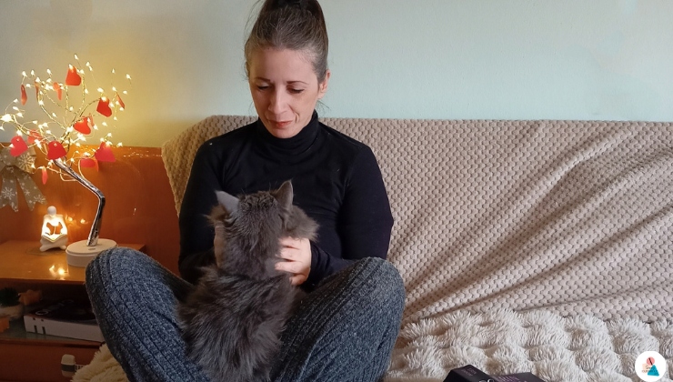 Come abituare i gatti alle coccole