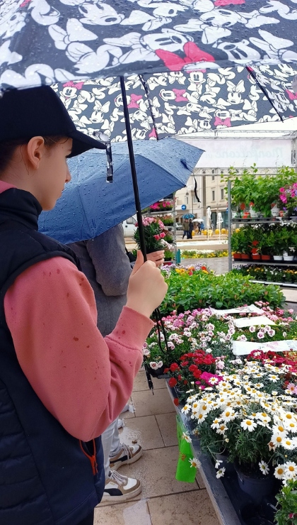 Dove comprare i fiori per giardino e come sceglierli