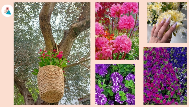 I fiori per giardino colorati che amano la penombra (1)