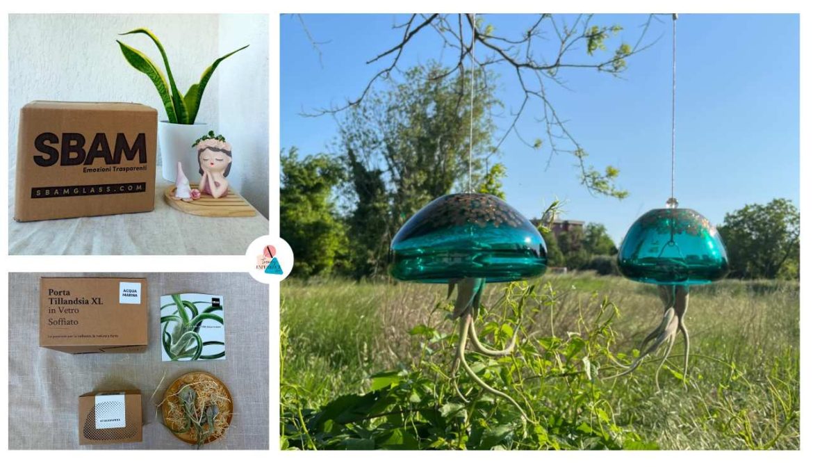 Comprare su Sbamglass recensione acquisti e codice sconto