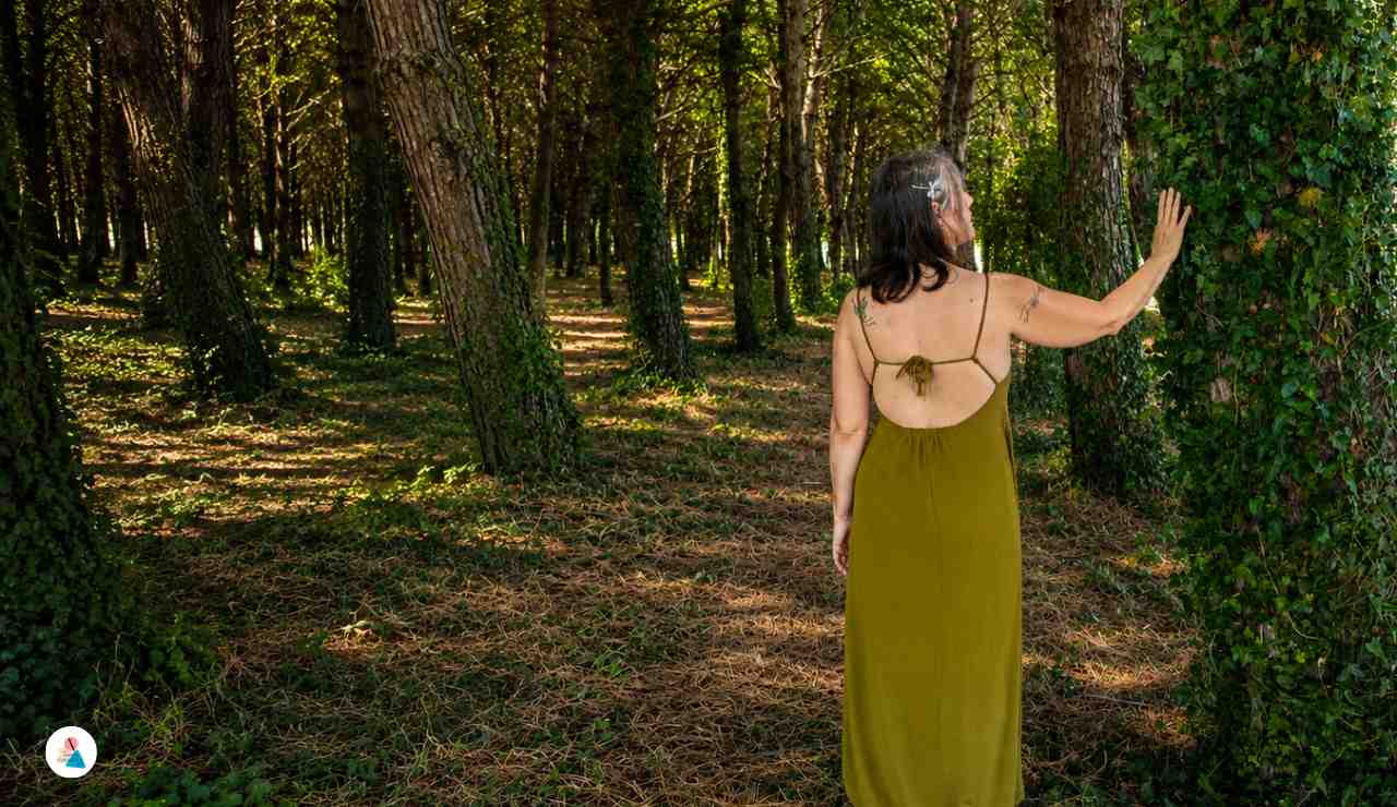 I benefici di camminare nel bosco in estate iniziano dal primo respiro
